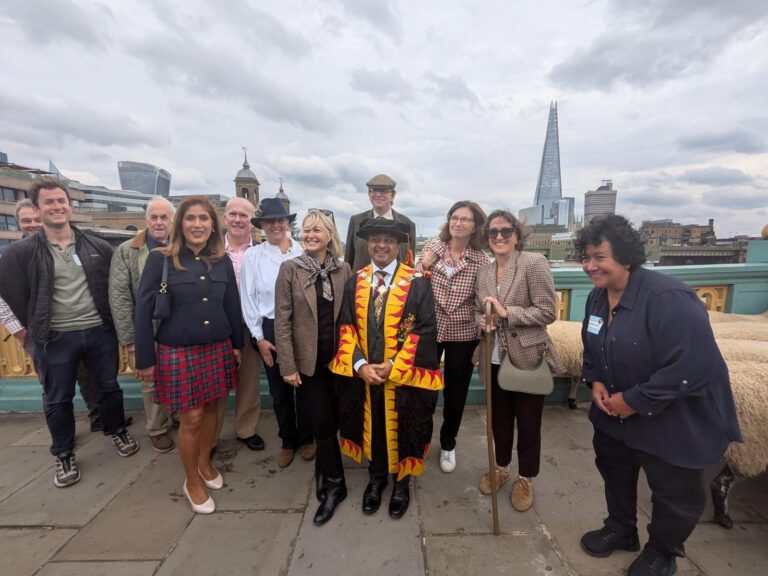 Fuellers at Woollen Sheep Drive over Southwark Bridge , Saturday 27th September 20265